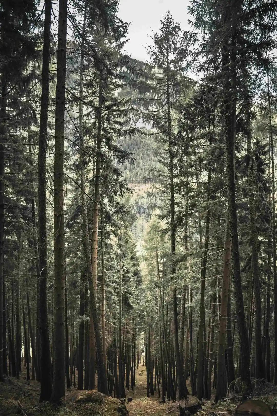 Startup-Schmiede: Erfolg navigieren mit strategischen Werkzeugen und Modellen